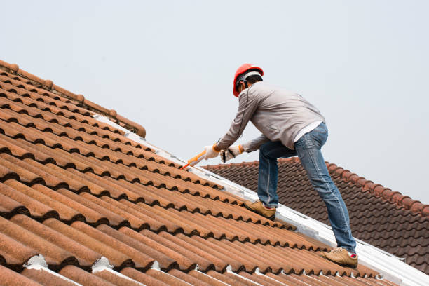 Fast & Reliable Emergency Roof Repairs in East Highland Park, VA