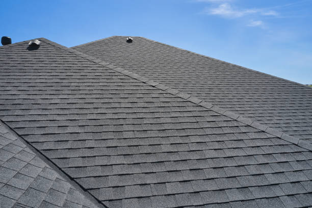 East Highland Park, VA Roofing service Company